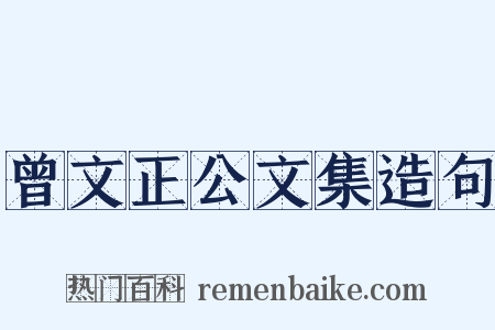 曾文正公文集造句是什么意思的图片